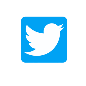 Twitter- Seguidores